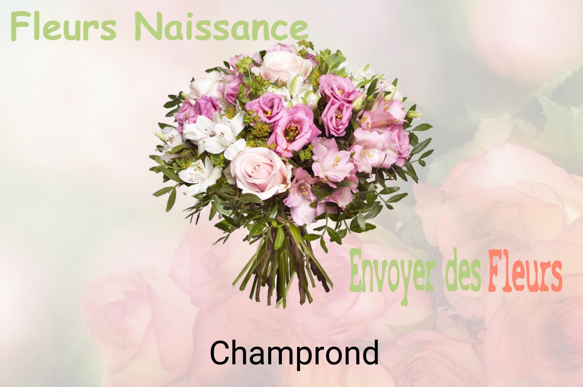 Bouquet de fleurs de naissance livré à Champrond