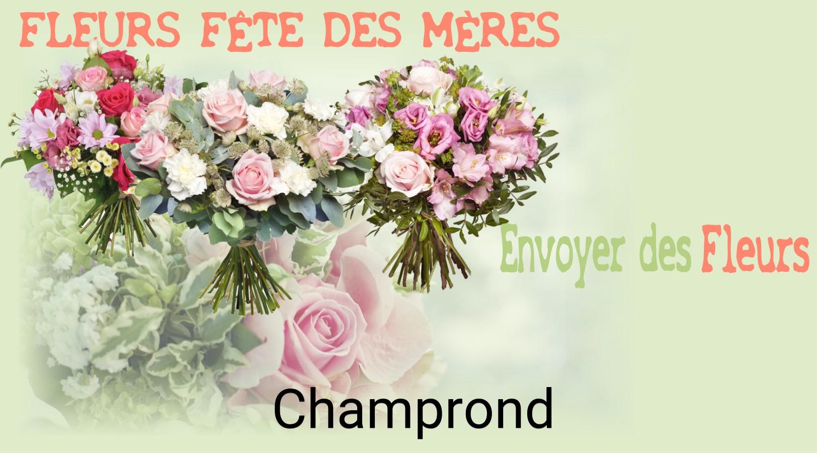 Bouquet de Fête des Mères livré à Champrond